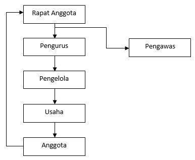 struktur organisasi koperasi