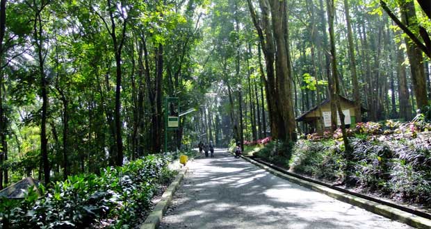  Bandung mempunyai keindahan alam yang begitu tepat sehingga sangat sayang bila dilewatk 10 Tempat Wisata Alam Di Bandung Yang Wajib Dikunjungi