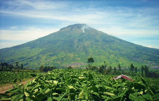  merupakan salah satu pulau di Indonesia yang dilewati oleh sirkum mediterania Gunung Tertinggi di Jawa ? Inilah Keterangan dan Gambarnya Lengkap!