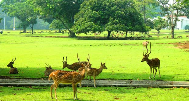 Tempat Wisata Alam Di Bogor Dan Sekitarnya 10 Tempat Wisata Alam Di Bogor Dan Sekitarnya Yang Menarik
