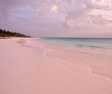 Inilah Tujuh Pantai Berpasir Merah Muda Di Dunia INILAH TUJUH PANTAI BERPASIR MERAH MUDA DI DUNIA