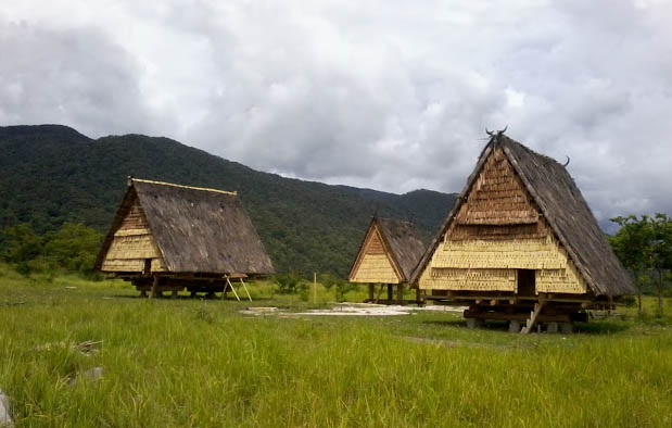  Provinsi Sulawesi Tengah dihuni oleh masyarakat yang berasal dari berbagai suku Rumah Adat Sulawesi Tengah (Rumah Tambi), Gambar, dan Penjelasannya