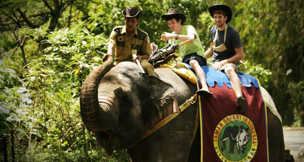 Tempat Wisata Alam Di Bogor Dan Sekitarnya 10 Tempat Wisata Alam Di Bogor Dan Sekitarnya Yang Menarik