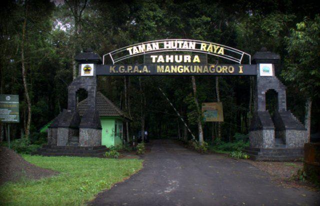 Taman Hutan Raya (Tahura) K.G.P.A.A. Mangkunagoro I